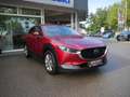 Mazda CX-30 e-SKYACTIV-G 150 HUD MATRIX-LED 360° Rouge - thumbnail 4