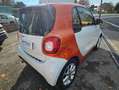 smart forTwo Fortwo 1.0 Urban (sport edition1) 71cv White - thumbnail 5