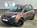 Fiat Panda 1.2 City Cross Trussardi | Italian Brown | Leer | Brown - thumbnail 1