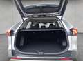 Toyota RAV 4 Hybrid Teamplayer, Technik-Paket Silber - thumbnail 5