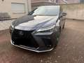 Lexus NX 350h F-Sport Grau - thumbnail 1