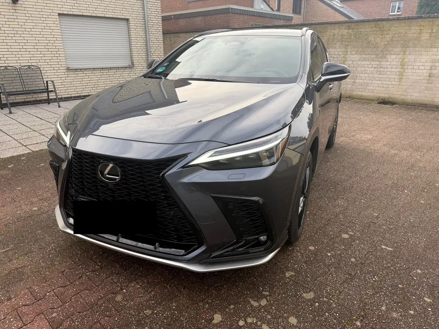 Lexus NX 350h F-Sport Grau - 1