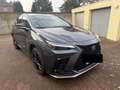 Lexus NX 350h F-Sport Grau - thumbnail 10