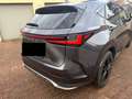 Lexus NX 350h F-Sport Grau - thumbnail 9