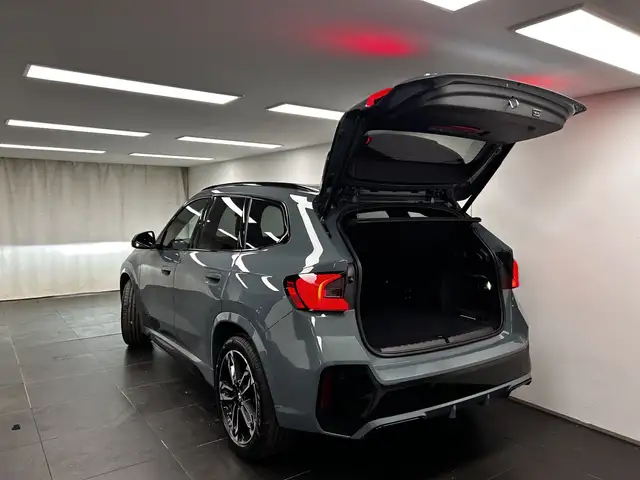 BMW X1 view 11