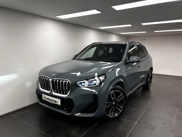 BMW X1 view 7