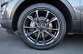 Ford Explorer XLT 2.3/4X4/7-Sitzer/APPLE/PANO/SHZ/R20 Gris - thumbnail 18