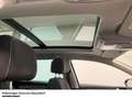 Volkswagen Passat Variant Business 2.0 TDI DSG Panoramadach Blau - thumbnail 11
