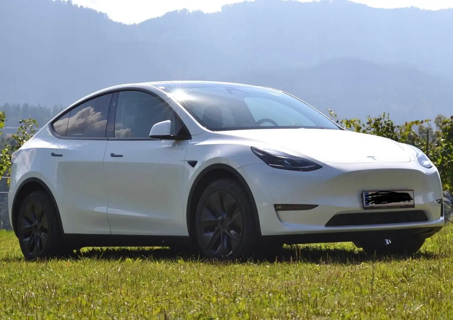 Tesla Model Y Long Range AWD Weiß - 1