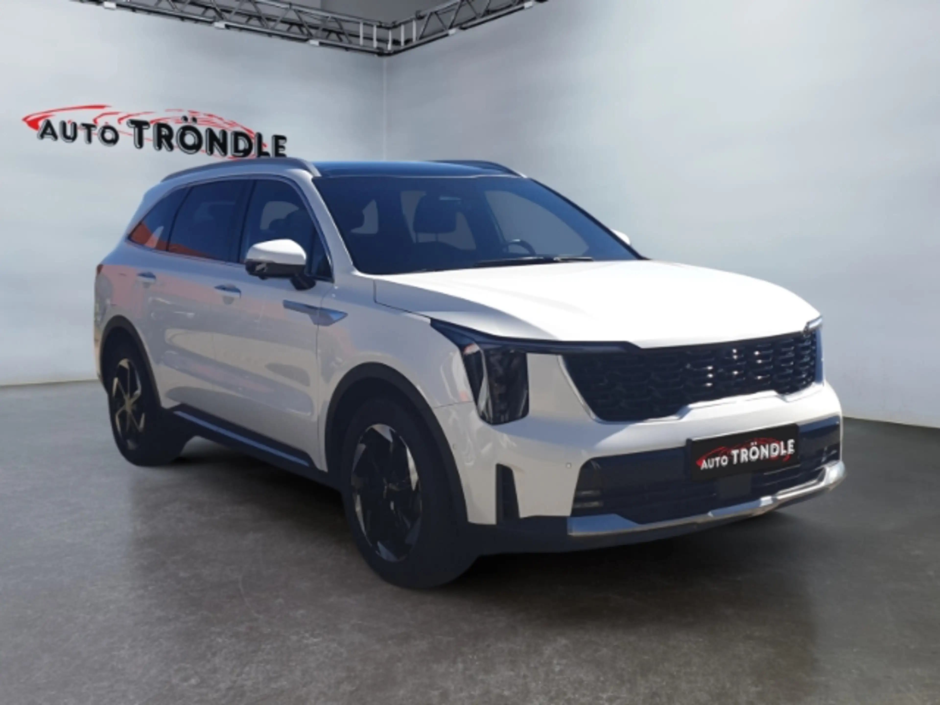 Kia Sorento 1.6 T-GDI PHEV AWD Platinum +Panorama — photo 3