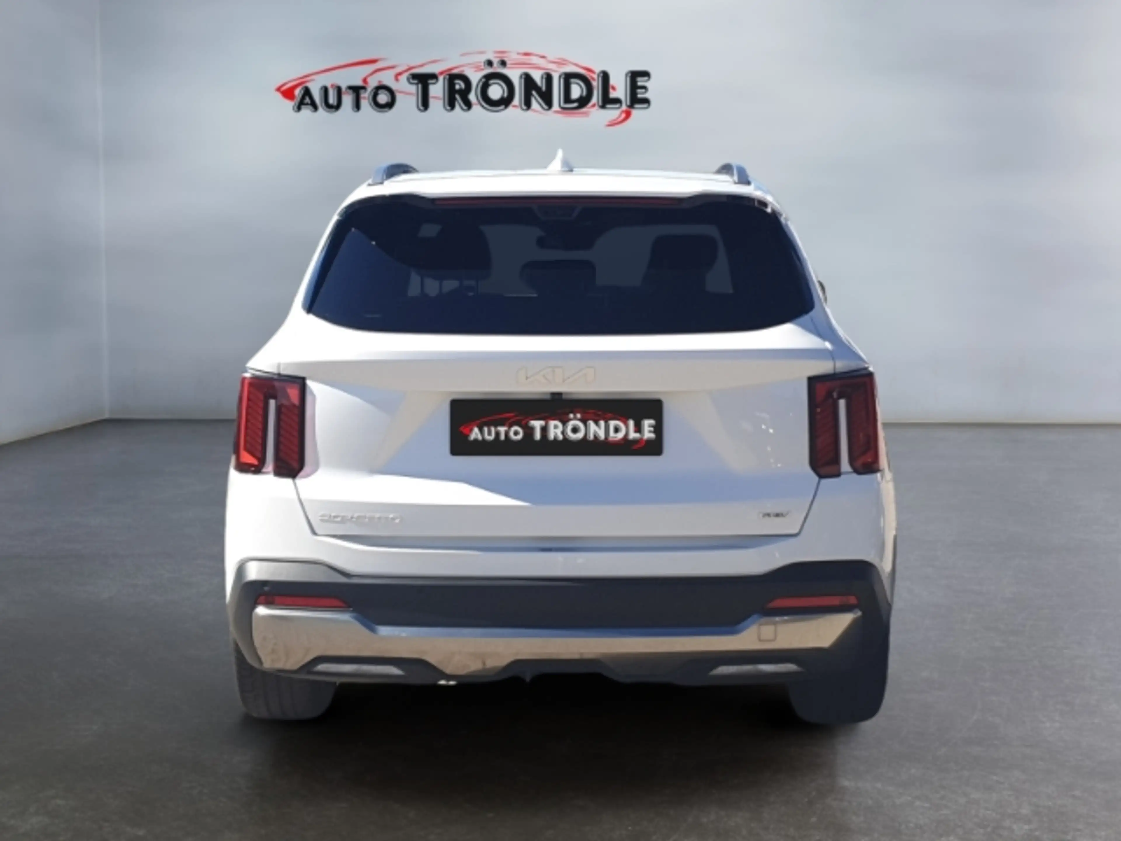 Kia Sorento 1.6 T-GDI PHEV AWD Platinum +Panorama — photo 5