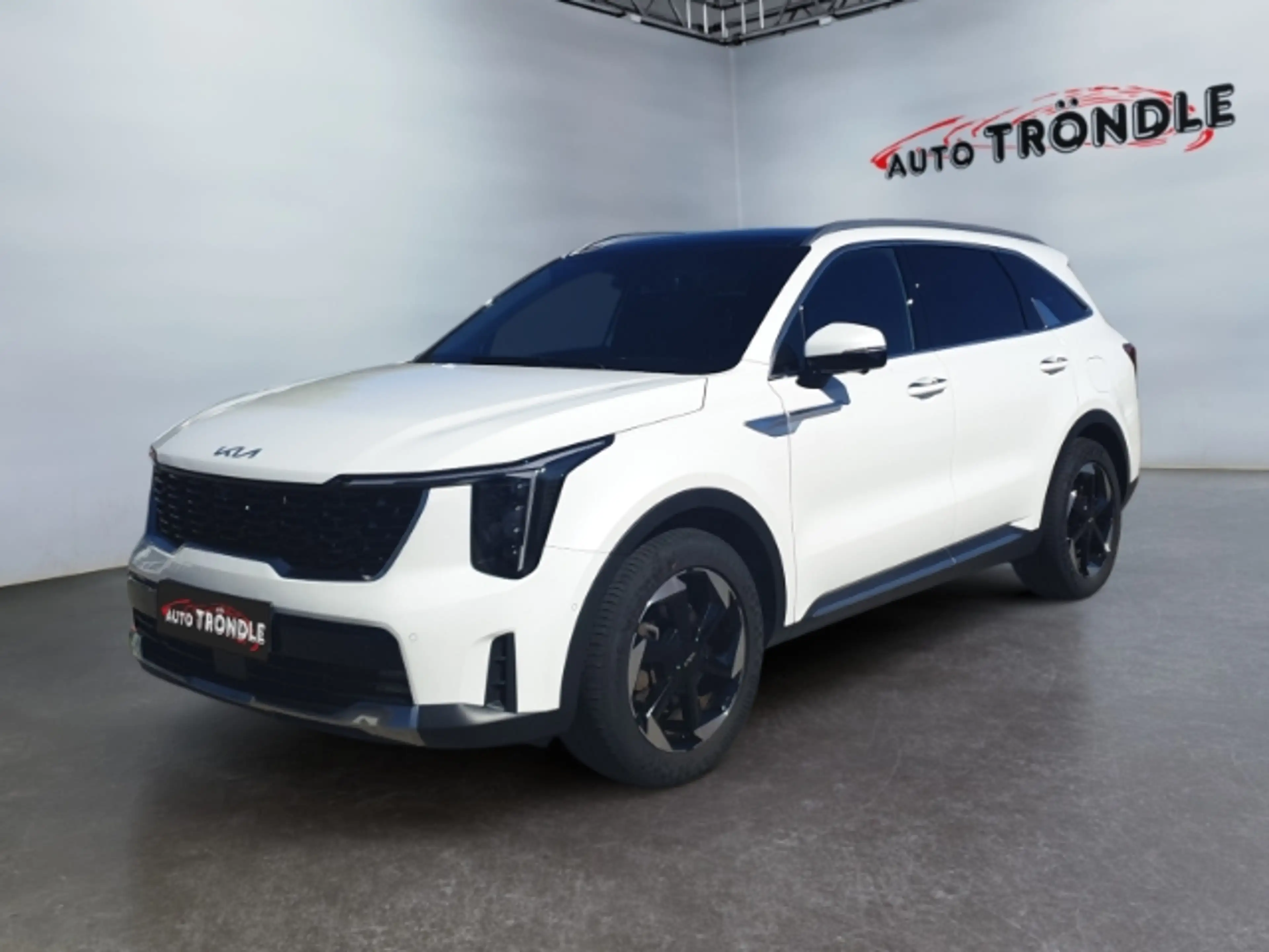 Kia Sorento 1.6 T-GDI PHEV AWD Platinum +Panorama