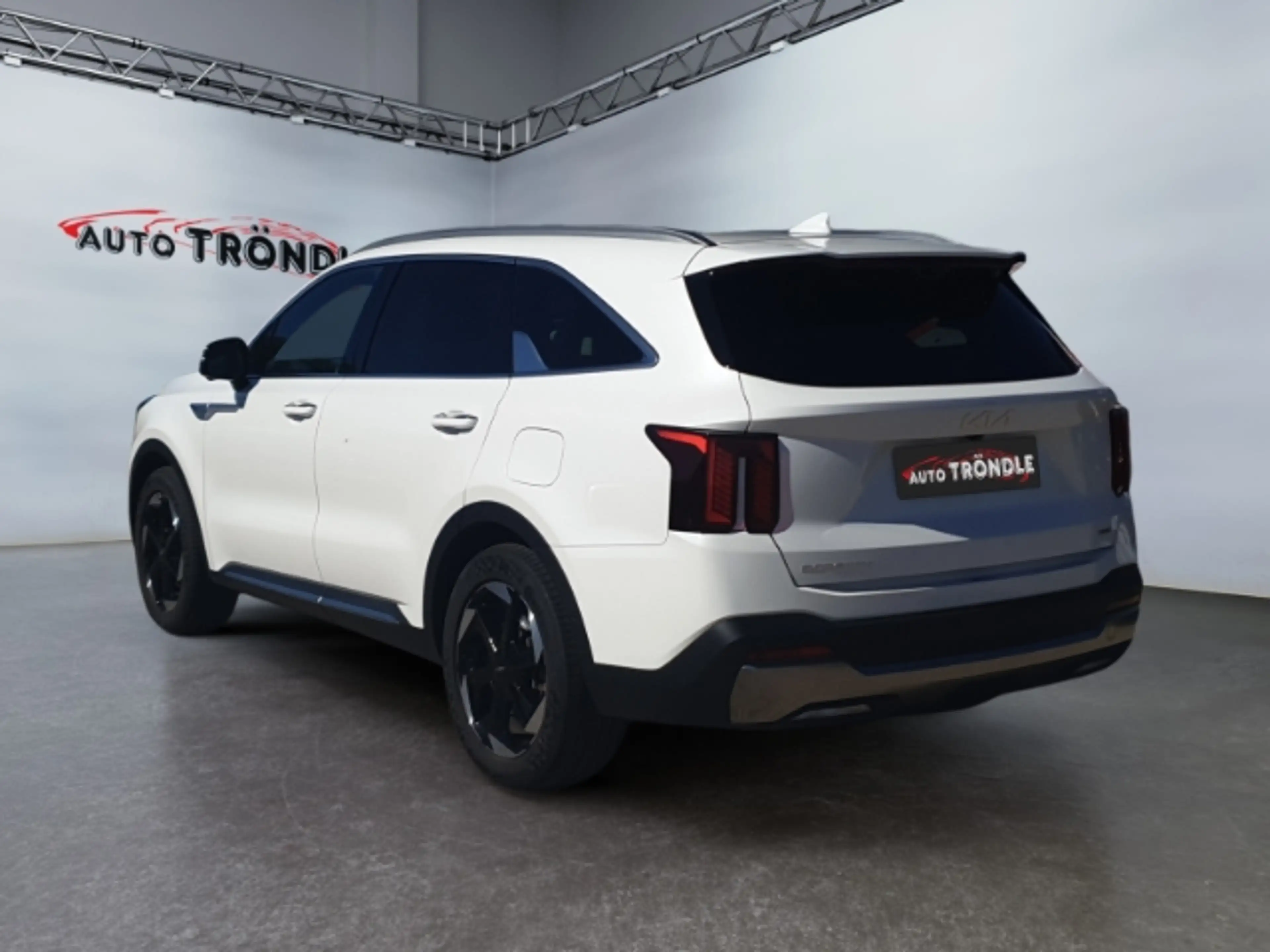 Kia Sorento 1.6 T-GDI PHEV AWD Platinum +Panorama — photo 6