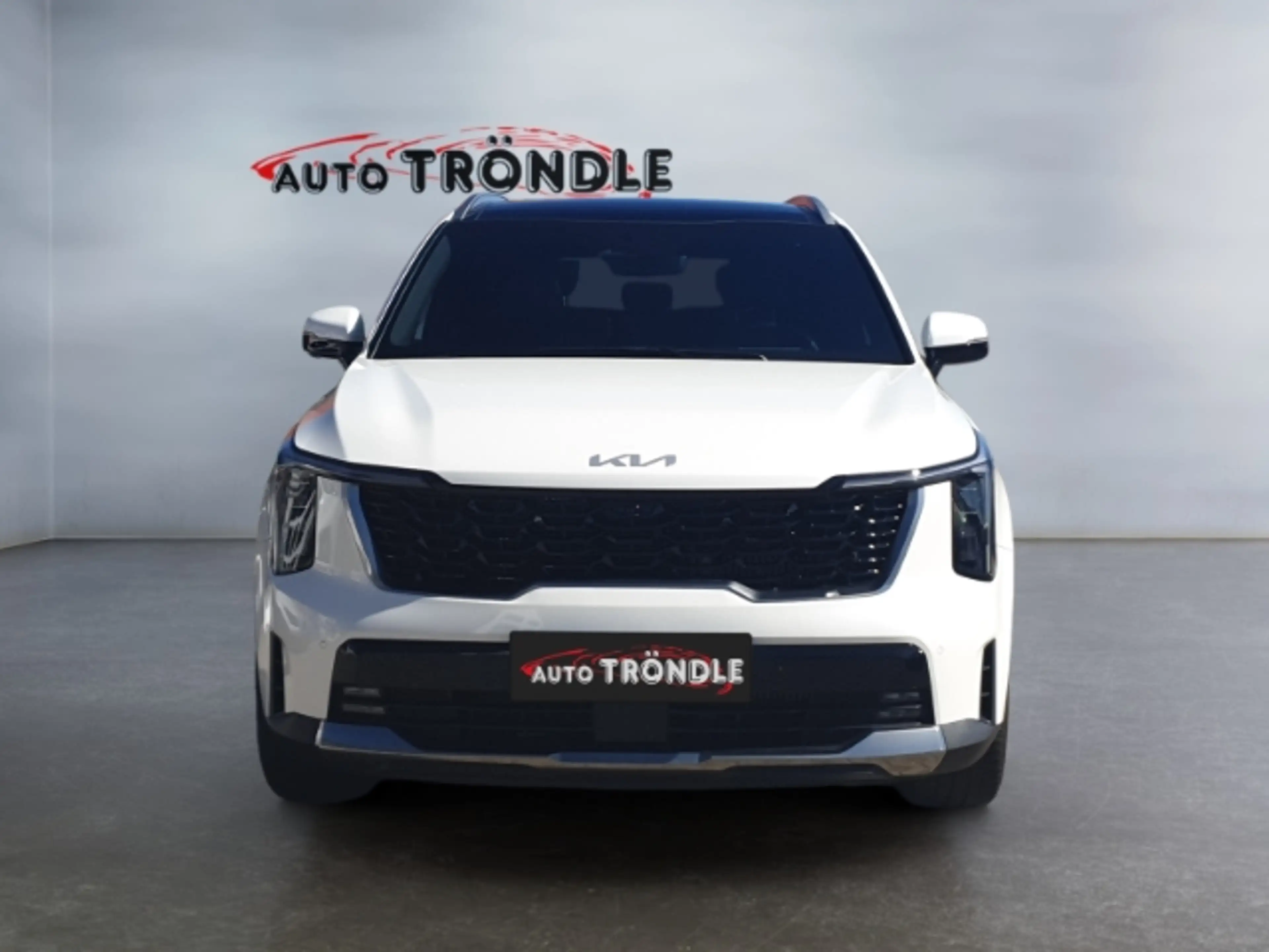 Kia Sorento 1.6 T-GDI PHEV AWD Platinum +Panorama — photo 2