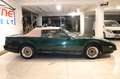 Pontiac Trans Am Cabrio 1 of 663 *Sondermodell*Einmalig* Grün - thumbnail 4