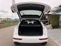 Audi Q5 40 TDI quattro 3x S-line S-tronic/PANO/ACC/VIRT... Weiß - thumbnail 19