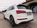 Audi Q5 40 TDI quattro 3x S-line S-tronic/PANO/ACC/VIRT... Weiß - thumbnail 16