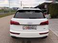 Audi Q5 40 TDI quattro 3x S-line S-tronic/PANO/ACC/VIRT... Weiß - thumbnail 7