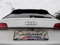 Audi Q5 40 TDI quattro 3x S-line S-tronic/PANO/ACC/VIRT... Weiß - thumbnail 18