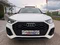 Audi Q5 40 TDI quattro 3x S-line S-tronic/PANO/ACC/VIRT... Weiß - thumbnail 10