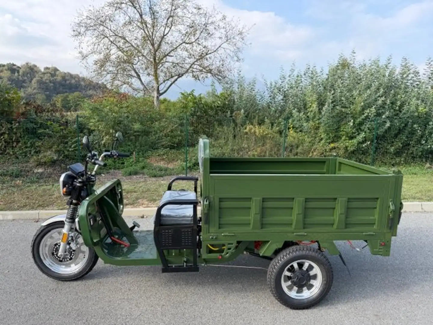 Altro e-CARRO maxi RIBALTABILE - ELETTRICO Verde - 1