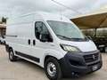 Fiat Ducato 33 2.3 MJT 160CV L2H2 Furgone Blanc - thumbnail 1