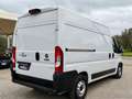 Fiat Ducato 33 2.3 MJT 160CV L2H2 Furgone Blanc - thumbnail 7