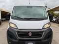Fiat Ducato 33 2.3 MJT 160CV L2H2 Furgone Blanc - thumbnail 2