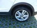 SEAT Arona FR DSG ACC Sitzh. PDC Klimaautom. Weiß - thumbnail 18