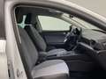 SEAT Leon Road Edition 1.5 eTSI DSG Kamera Winter Weiß - thumbnail 10