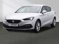SEAT Leon Road Edition 1.5 eTSI DSG Kamera Winter Weiß - thumbnail 14