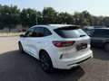 Ford Kuga 2.0 EcoBlue Hybrid 150 CV 2WD ST-Line Blanco - thumbnail 21