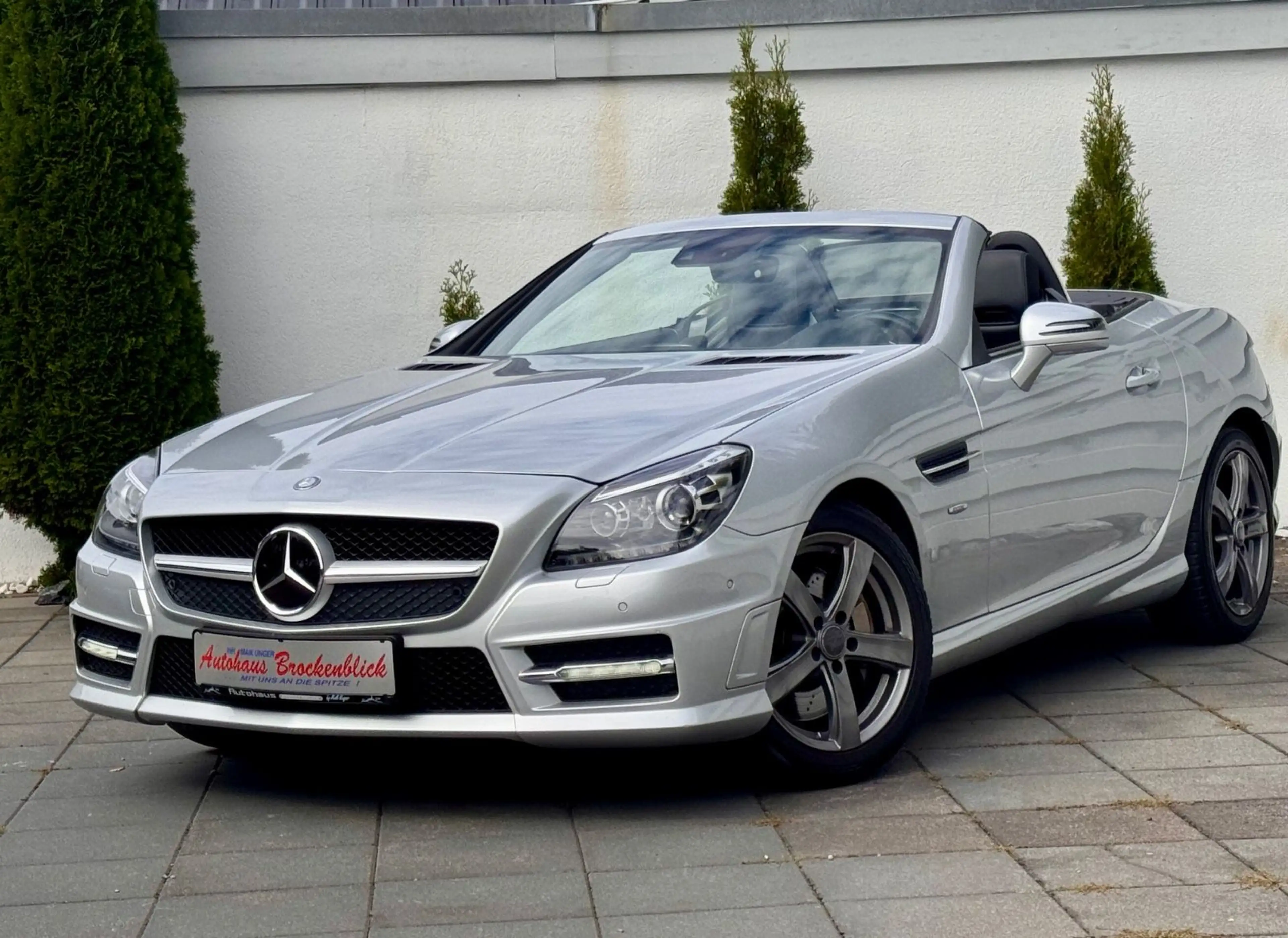 Mercedes-Benz SLK 350 SLK Roadster BlueEfficiency Edition 1