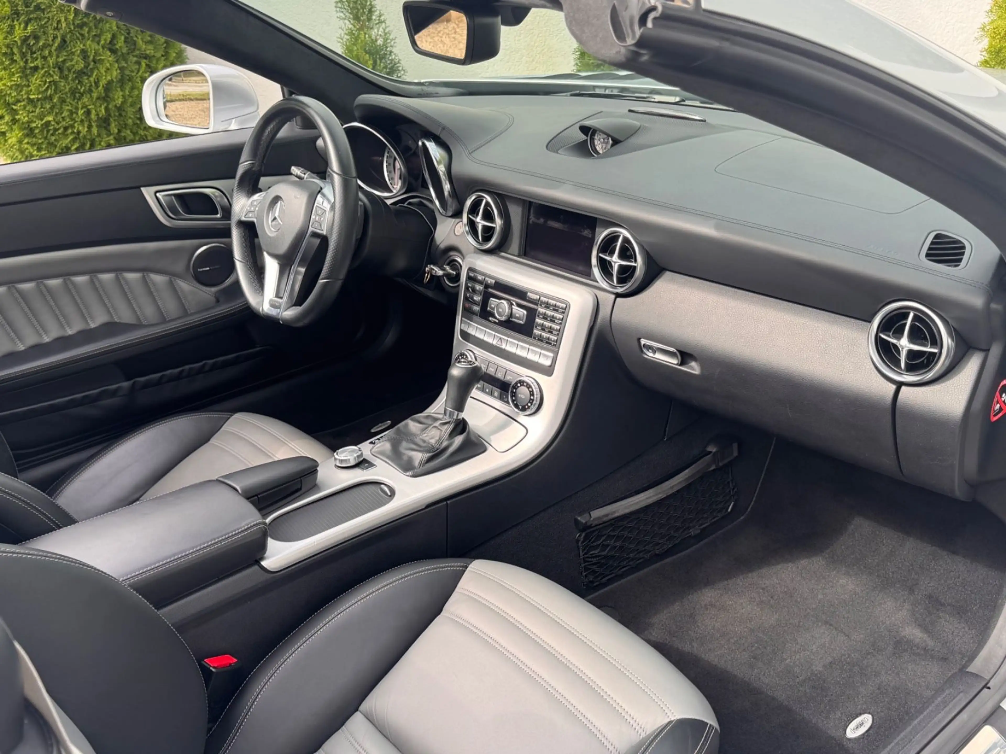 Mercedes-Benz SLK 350 SLK Roadster BlueEfficiency Edition 1 — photo 16