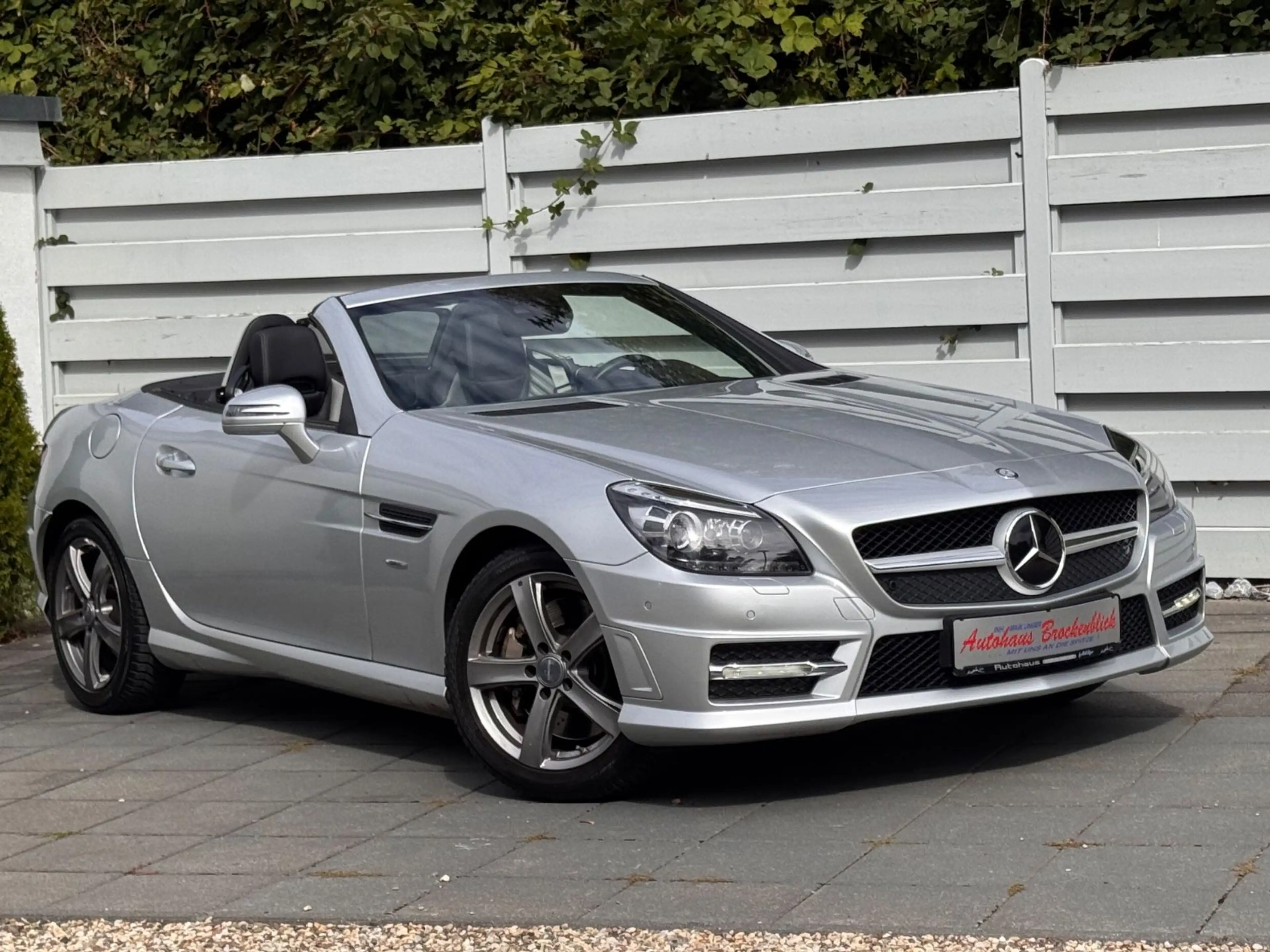 Mercedes-Benz SLK 350 SLK Roadster BlueEfficiency Edition 1 — photo 4