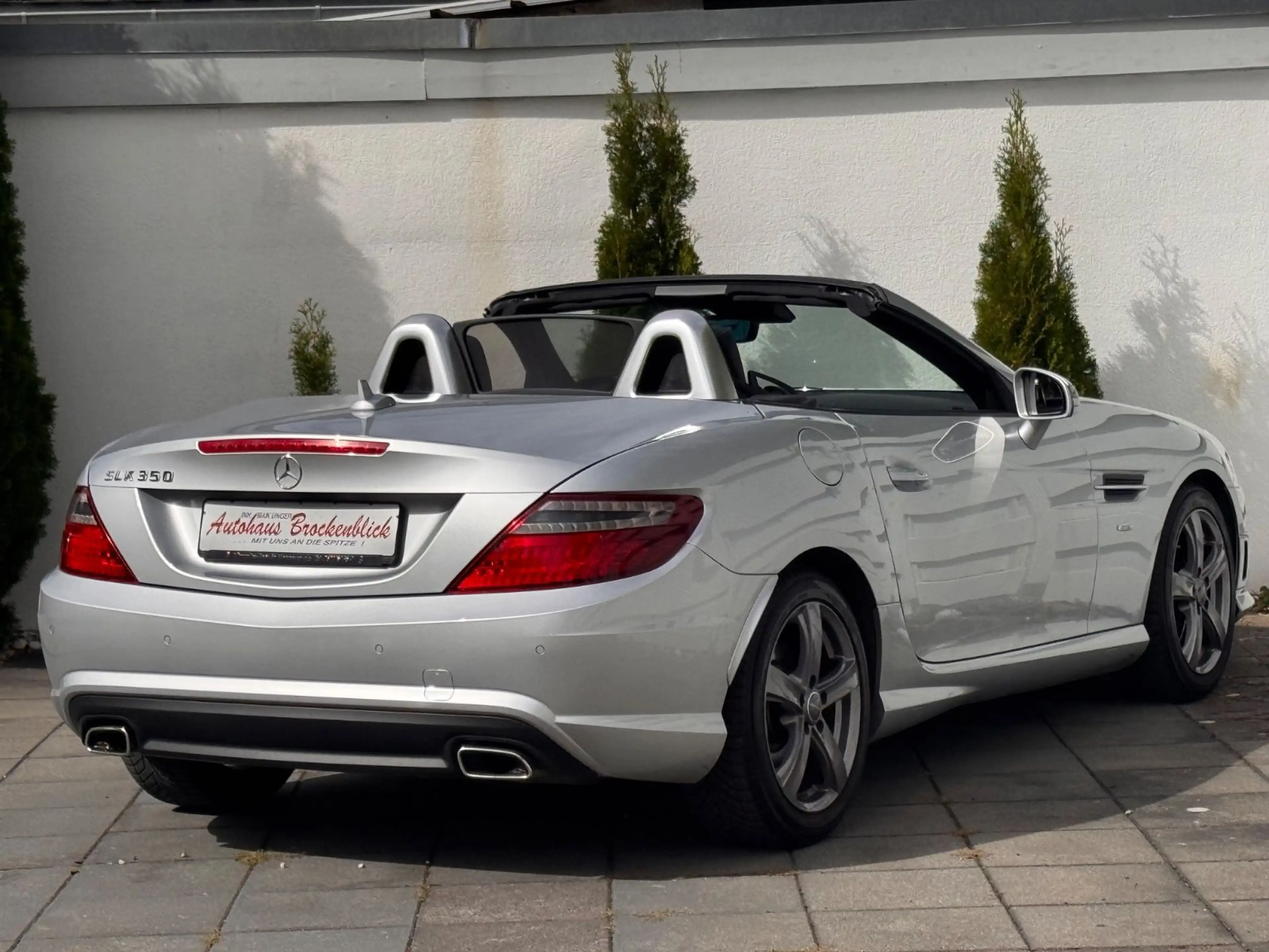 Mercedes-Benz SLK 350 SLK Roadster BlueEfficiency Edition 1 — photo 6