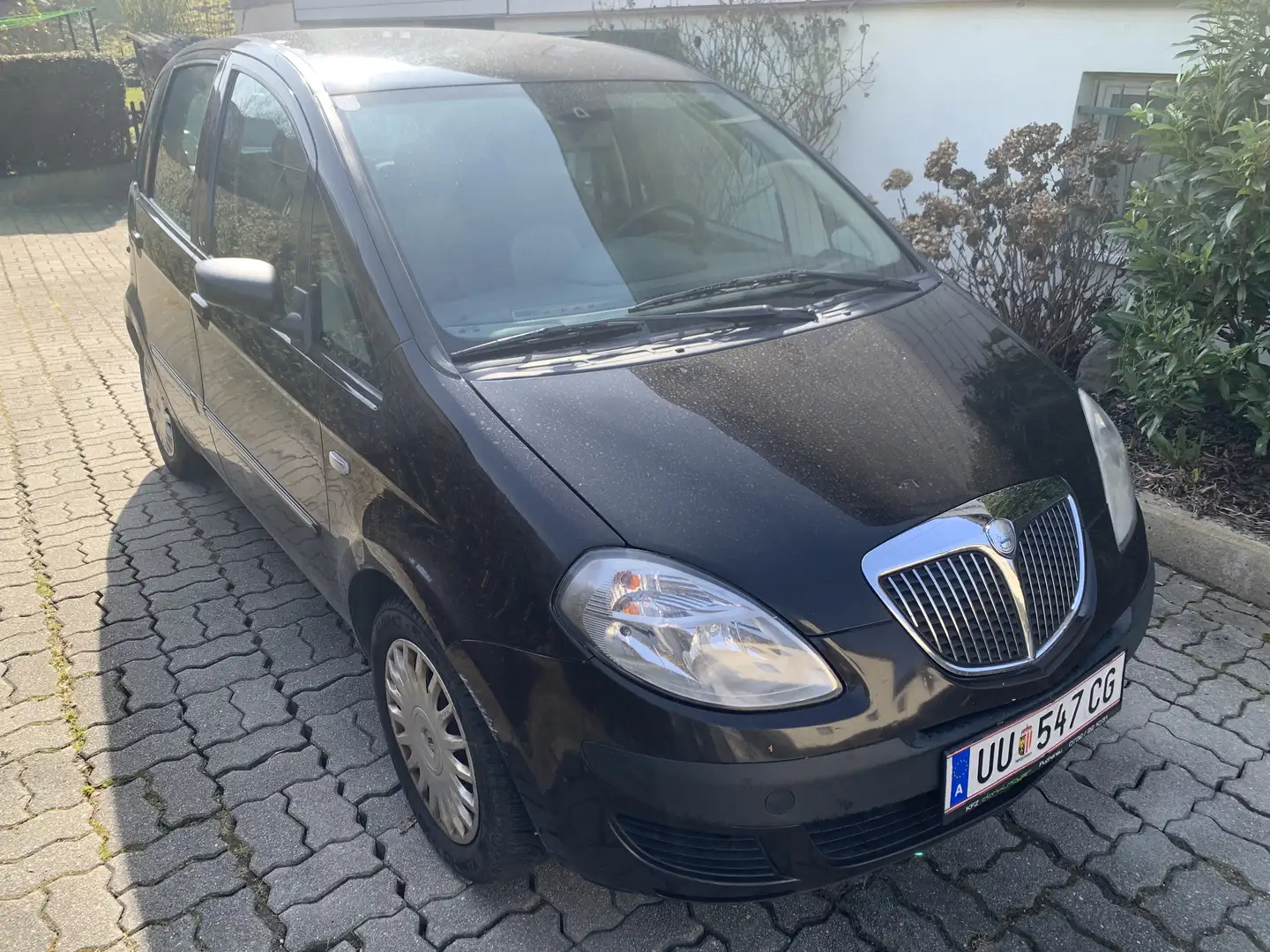 Lancia MUSA Musa Oro 1,4 16v Oro Braun - 2