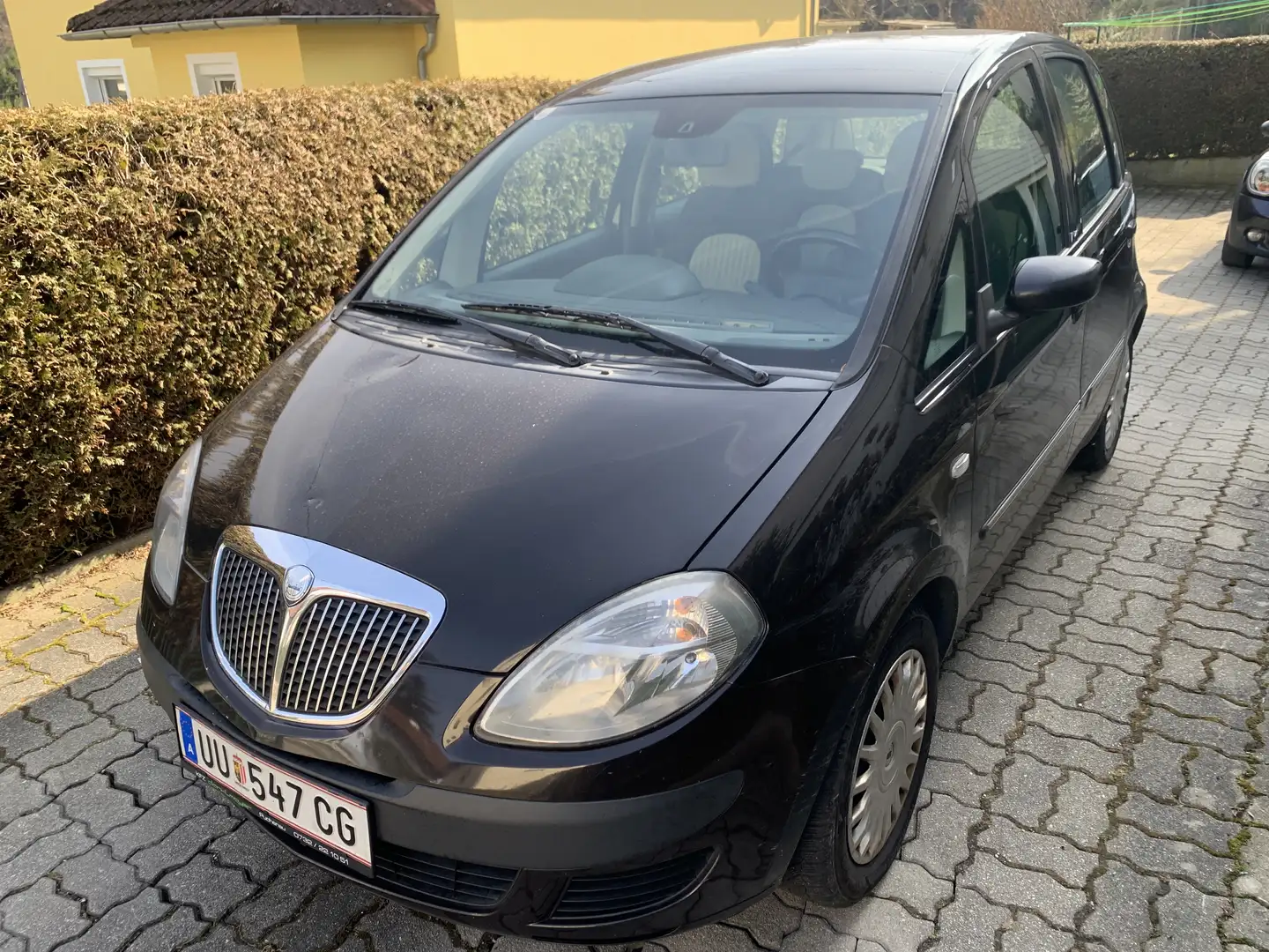 Lancia MUSA Musa Oro 1,4 16v Oro Braun - 1