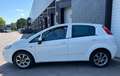 Fiat Punto Evo 0.9 TwinAir Sempre BTW/CLIMA/CRUISE/LMV/5D/PDC/NAV Bianco - thumbnail 3