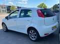 Fiat Punto Evo 0.9 TwinAir Sempre BTW/CLIMA/CRUISE/LMV/5D/PDC/NAV Bianco - thumbnail 4