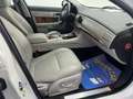 Jaguar XF Blanc - thumbnail 19