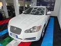 Jaguar XF Blanc - thumbnail 3