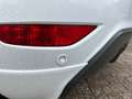 Ford Fiesta 1.6 Sport / PDC / Clima / Cruise / 17inch / NAP Weiß - thumbnail 7