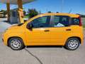 Fiat Panda 1.0 Mild-Hybrid Klima DAB Citylenkung Arancione - thumbnail 8