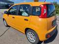 Fiat Panda 1.0 Mild-Hybrid Klima DAB Citylenkung Orange - thumbnail 7