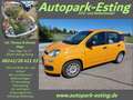 Fiat Panda 1.0 Mild-Hybrid Klima DAB Citylenkung Orange - thumbnail 1
