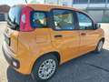 Fiat Panda 1.0 Mild-Hybrid Klima DAB Citylenkung Arancione - thumbnail 5