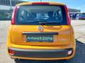Fiat Panda 1.0 Mild-Hybrid Klima DAB Citylenkung Arancione - thumbnail 6