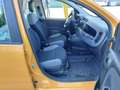 Fiat Panda 1.0 Mild-Hybrid Klima DAB Citylenkung Arancione - thumbnail 13