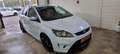 Ford Focus Focus 2.5 ST bom vol Wit - thumbnail 2
